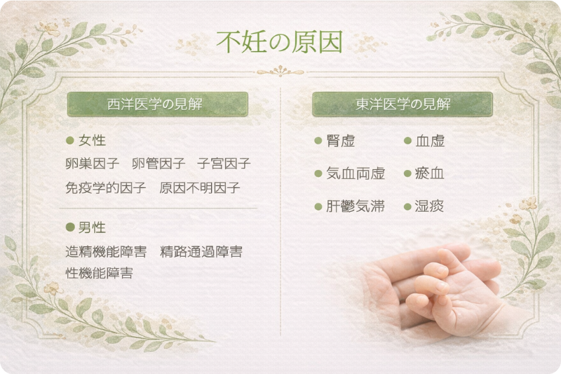 不妊の原因